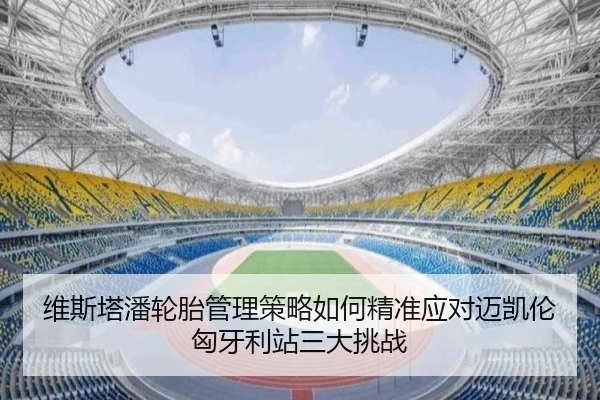 维斯塔潘轮胎管理策略如何精准应对迈凯伦匈牙利站三大挑战