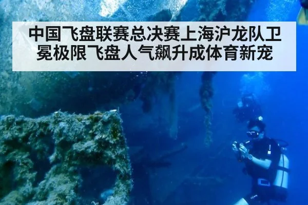 中国飞盘联赛总决赛上海沪龙队卫冕极限飞盘人气飙升成体育新宠